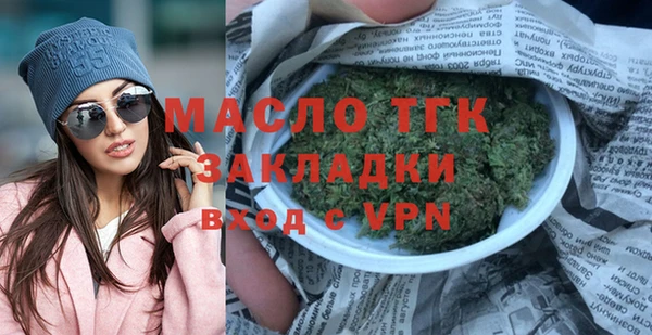 гидра Вяземский